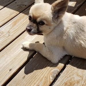 Meet your Posher, Timothy